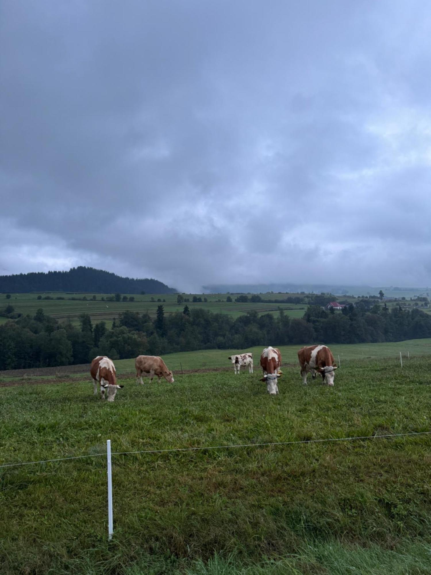 Apartamenty Agroturystyczne Papiernia Niedźwiedź エクステリア 写真